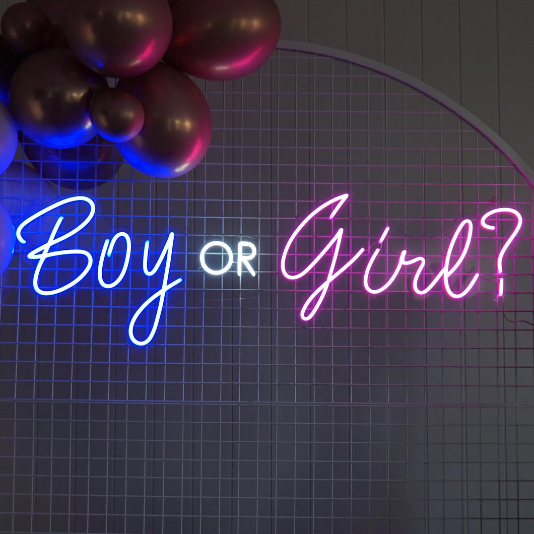 Boy or Girl Neon Sign