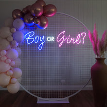 Load image into Gallery viewer, Boy or Girl Neon Sign
